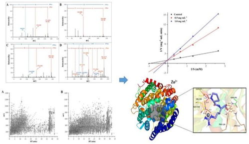江南大学研究团队在白酒糟生物活性肽合成技术研发领域取得重要突破