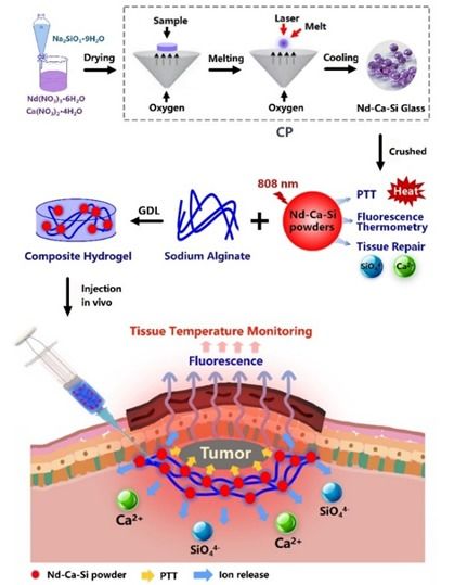 融合创新 面向肿瘤治疗与组织再生一体化的生物活性玻璃合成技术研发