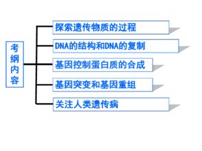 苏教版高中生物必修二第四章第1节探索遗传物质的过程