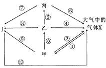 生态系统碳循环分析 光合作用、化能合成作用与海洋生物活性物质提取的关联