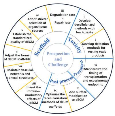 我校在生物活性材料领域取得新进展 组织工程支架纯化技术最新综述发表