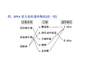 DNA 从遗传物质到合成技术研发的探索