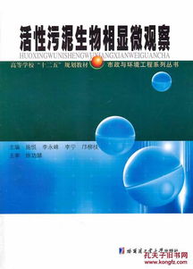 活性污泥生物相显微观察与海洋生物活性物质提取技术对比分析