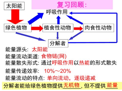 生态系统的物质循环 合成技术研发的视角