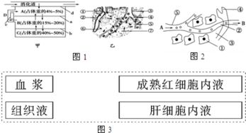 孟德尔遗传规律为何不适用于细菌等单细胞生物？