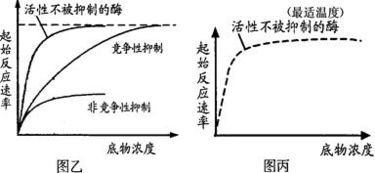 合成技术研发中的酶竞争性抑制机制及其启示